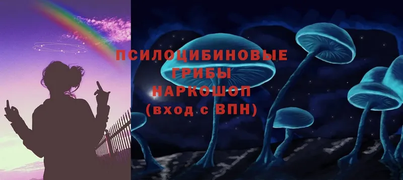 купить  цена  Глазов  Галлюциногенные грибы MAGIC MUSHROOMS 